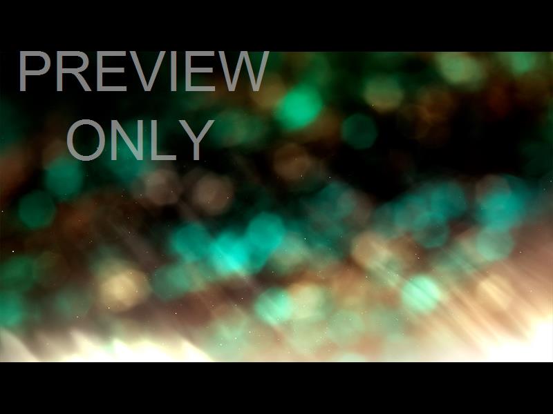 Christmas Light: 4 Still