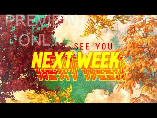Seasonal Vibes: Fall Edition Goodbye Still