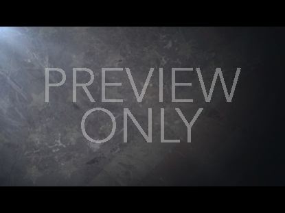 Veterans Day Still 11