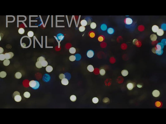 Christmas Lights: 08 Still