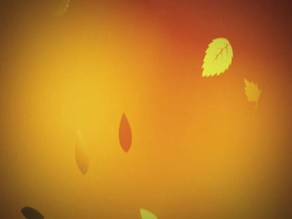 Fall Leaves 01