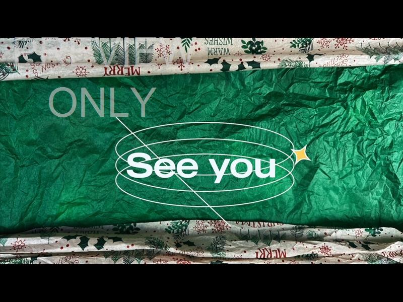 Christmas Stop Motion See You Next Week Still