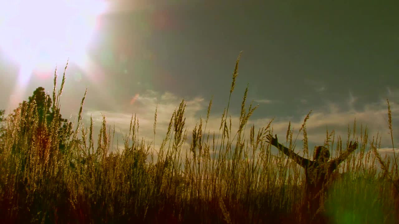Arms Out Sun Flare
