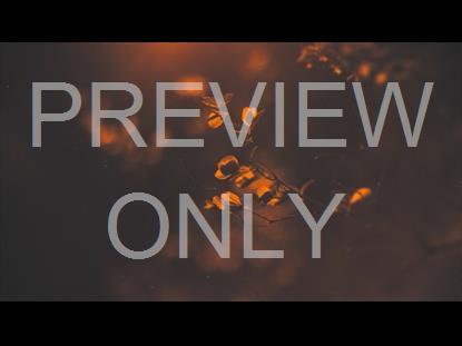 Elegant Fall 3 Graphic