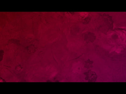 Who You Say I Am Loop 14