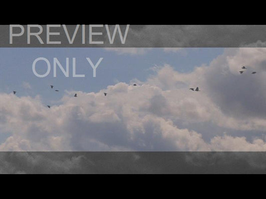 Now Is The Time Still 08