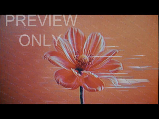 Crt Flowers 9 Still