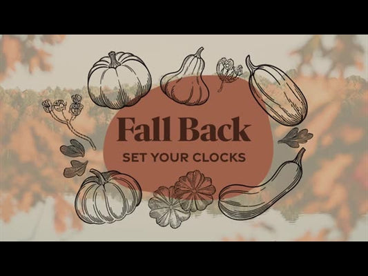 Line Art Autumn Fall Back