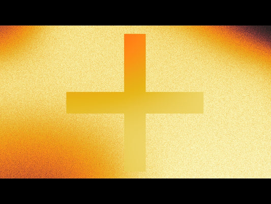 Salt And Light 2