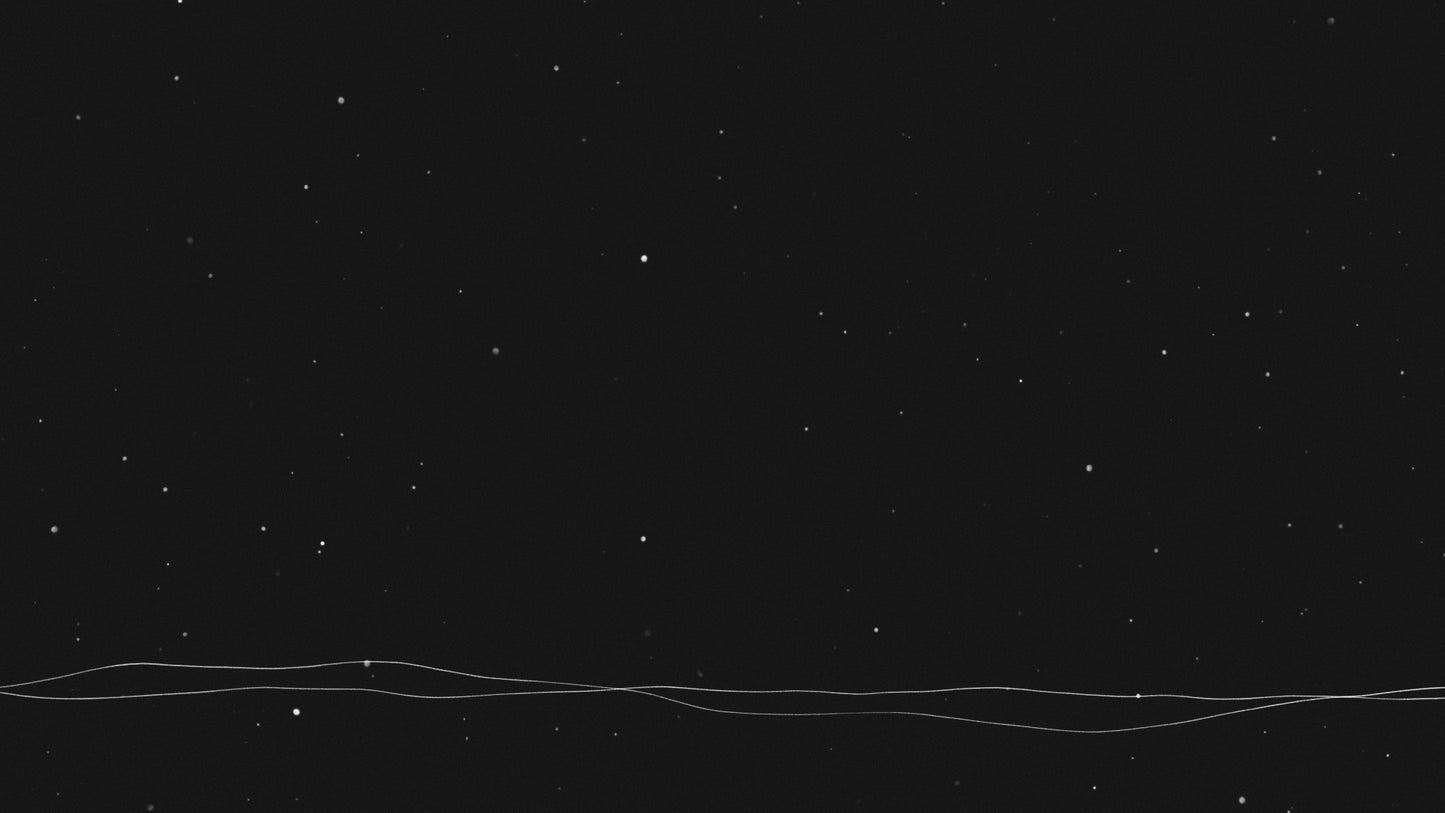 Silent Night Lines Still