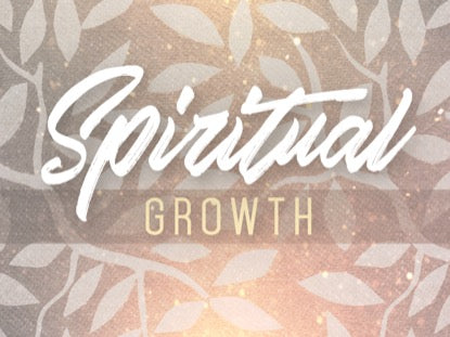 Seasonal Display Spiritual Growth Motion