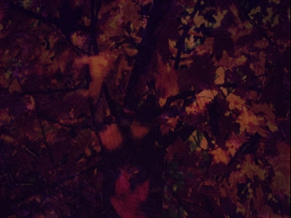 Fall Into Grace Motion 7