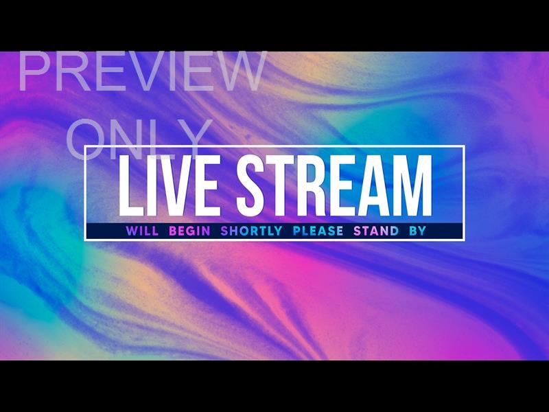 Easter Paint: Live Stream Still