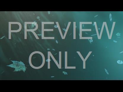 Thankful Fall 2 Graphic