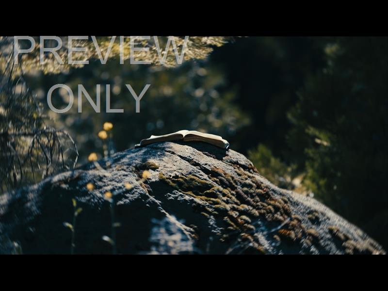 Bible And Crown 9 Still