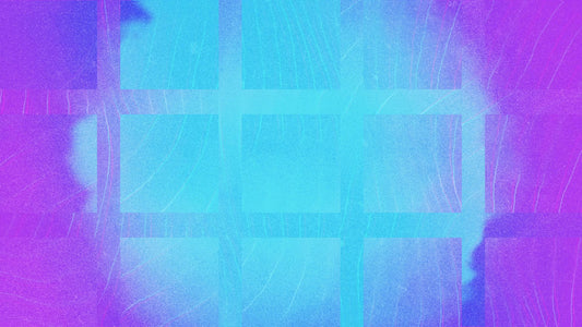 Summer Vibes Cool Tone Alt Still