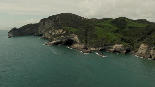 The Coast 5 Still
