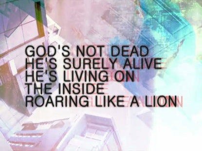 Like A Lion Flexx
