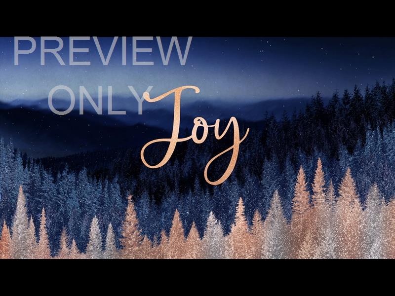 Sparkling Trees Joy Still