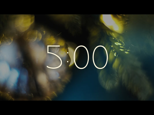 Bright And Beautiful Countdown