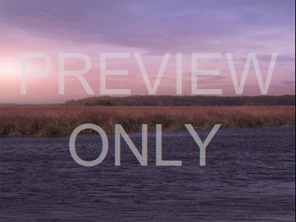 Tidelands 7 Still