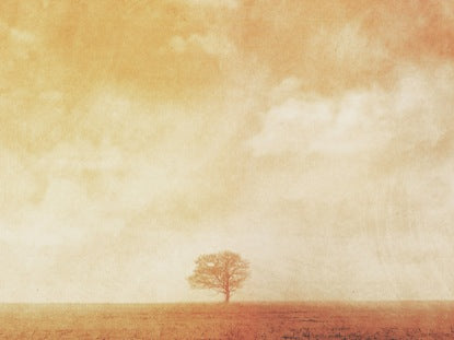 Thetree