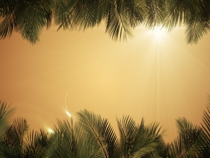 Sky View Palm Branches Gold