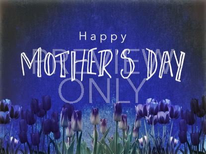 Mothers Day Tulips Holiday Still
