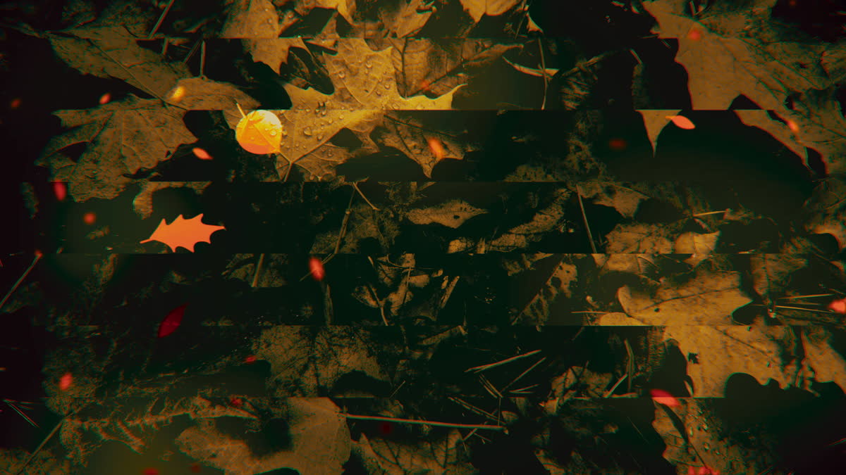 Autumn Memories 4