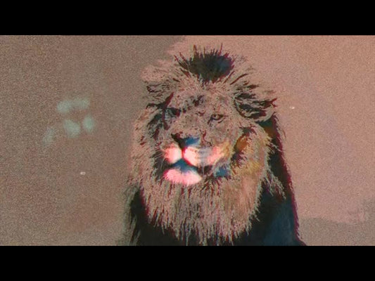 Bible Animals Lion