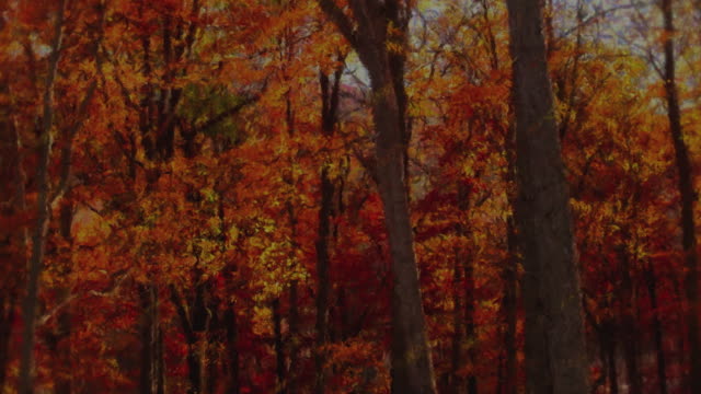 Autumn Vibes 7 Alt