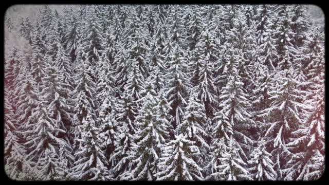 Retro Winter 10