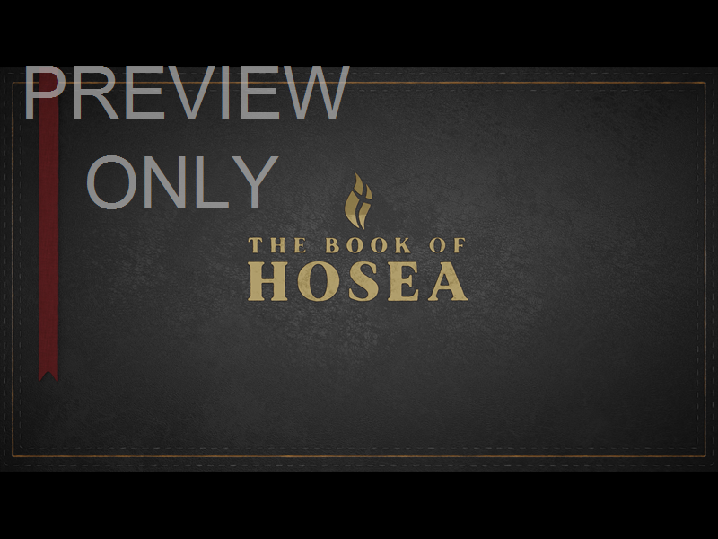 Hosea - Black Still