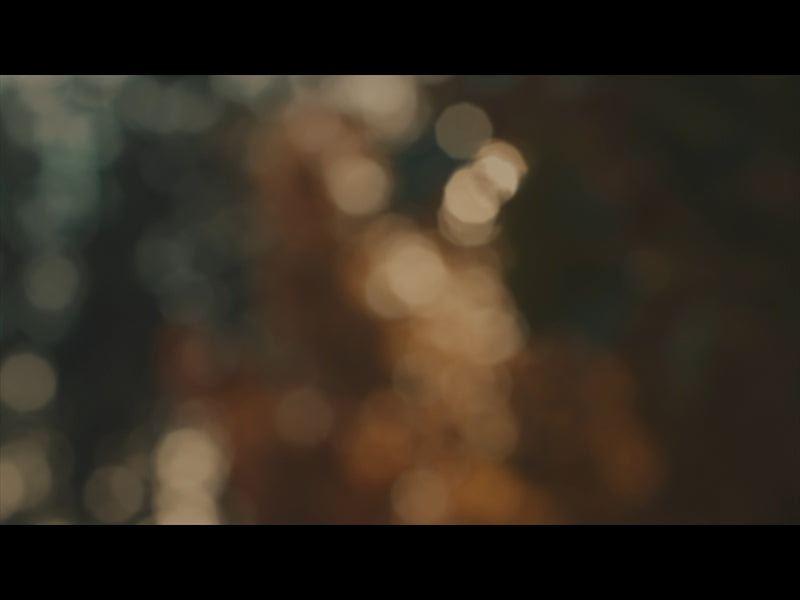 Beautyfall Loop 03