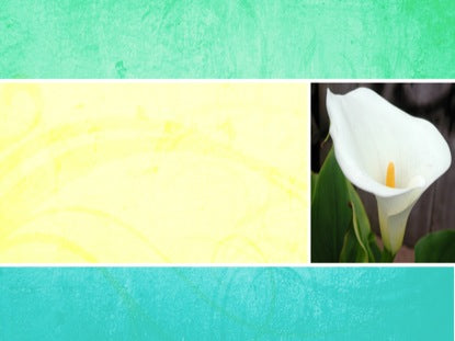 Easter Title Set Loop Blank