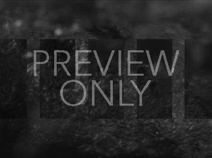 Black And White Whirlpool High Energy