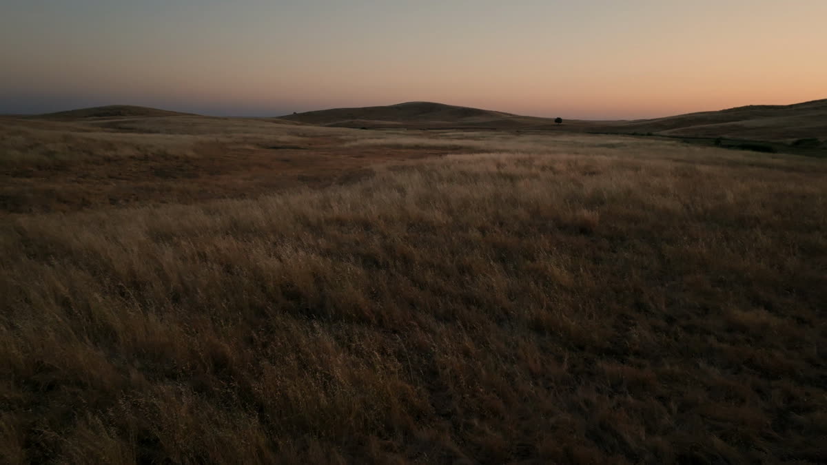 Golden Pastures Still 18