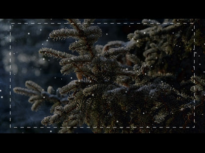 Christmas Volume Five Teaching Motion 3