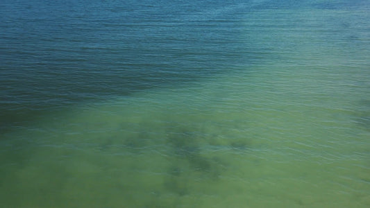 Lake Prespa 15