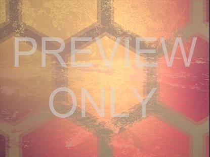 River Wild 14 Remix Still