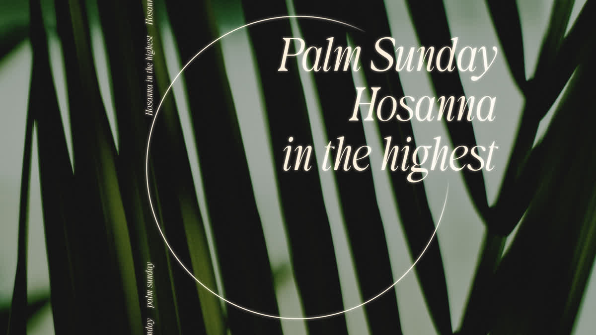 Triumph Still Palm Sunday