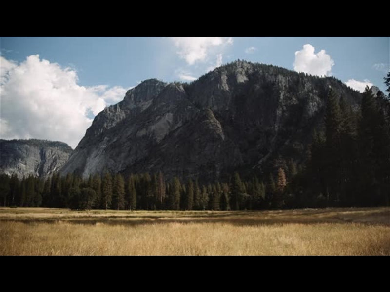 Yosemite Meadows Motion - 12