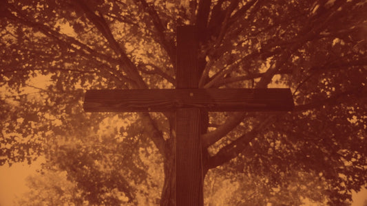 Cross 10 Duotone Still