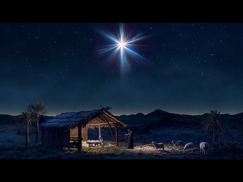 Christmas Promise 1