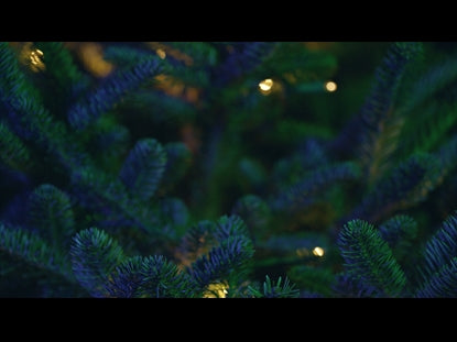 Christmas Pines Blue Green