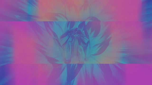 Floral Reflections 17