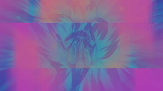Floral Reflections 17