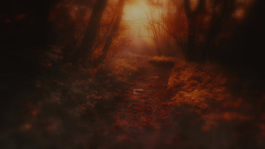 Autumn Path 3 Darken