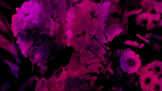 Floral Paint 08