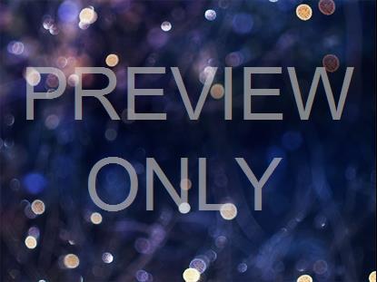 Winter Frost 4 Still